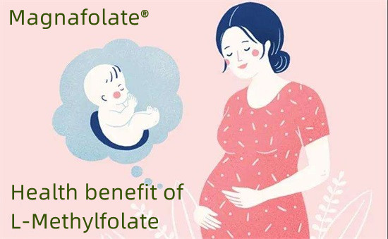 एल-मिथाइलफोलेट के साथ न्यूरल ट्यूब दोष की रोकथाम