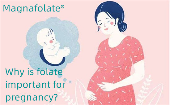 गर्भावस्था के लिए फोलेट क्यों महत्वपूर्ण है?