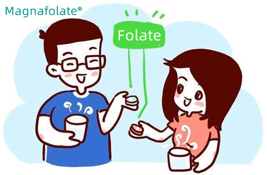 आपको एक दिन में कितना फोलेट लेना चाहिए?