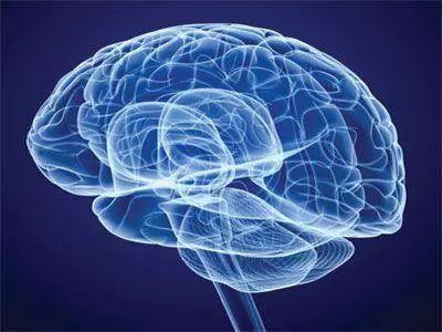 फोलेट तंत्रिका तंत्र की रक्षा करता है और मनोभ्रंश और पार्किंसंस को रोकता है