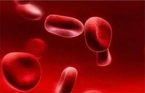 क्यों फोलेट की कमी से प्रतिरक्षा प्रणाली की समस्याएं होती हैं?