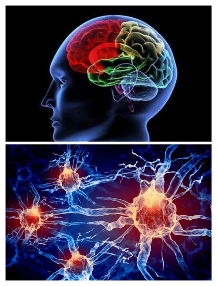 क्या मैंगफोलेट नींद संबंधी विकारों में मदद करता है?