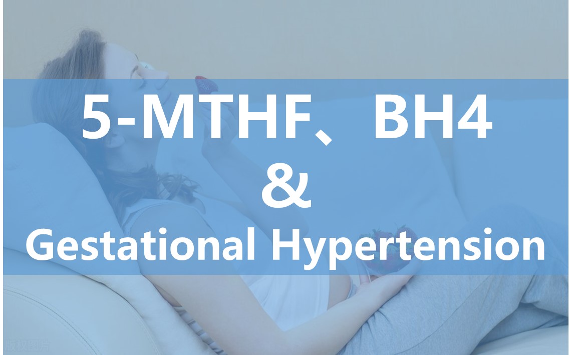 गर्भावस्था के दौरान एंडोथेलियल सेल फ़ंक्शन पर 6S-5-methyltetrahydrofolate का प्रभाव और गर्भावधि उच्च रक्तचाप के उपचार में इसकी क्षमता